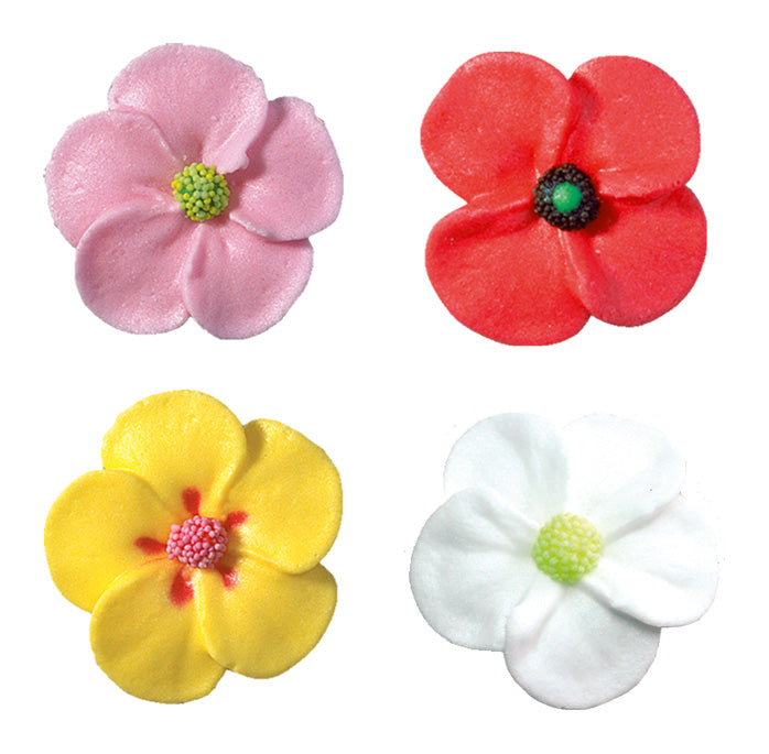 Série de fleurs colorées