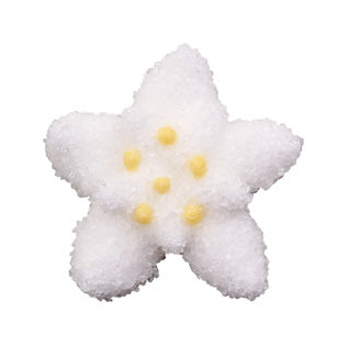 Edelweiss sugared