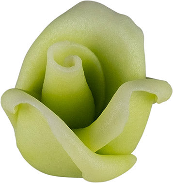 Roses pastel vert moyen