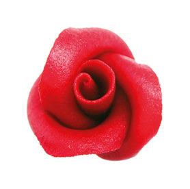 Rosa rossa piccola