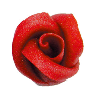 Rosa lucida rosso scuro