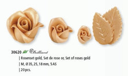 Set d'oro delle rose lucide